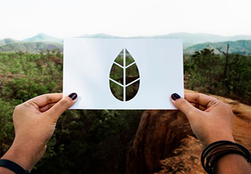 Top 10 Tips for Environmental Protection